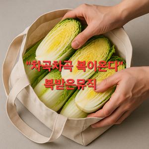 차곡차곡 복이 온다