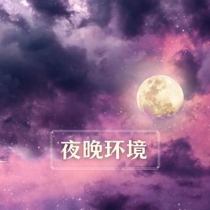 森林之夜