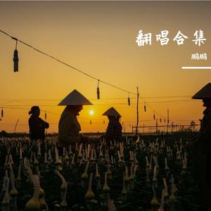 鹏鹏 - 把我唱给你听