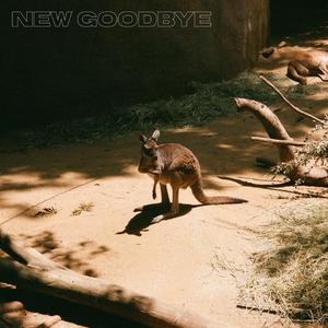 New Goodbye