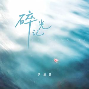 碎光记