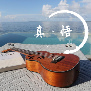 梧桐落叶送战友