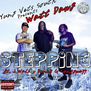 Stepping