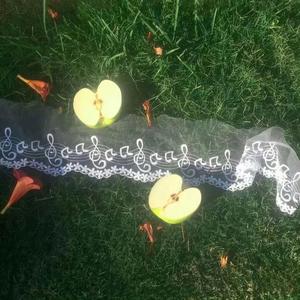 我会靠自己走遍全世界