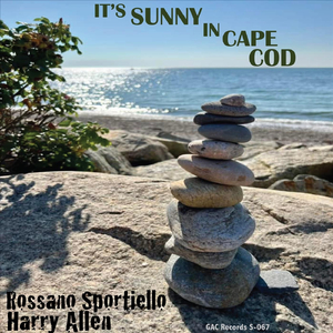 It's Sunny in Cape Cod
