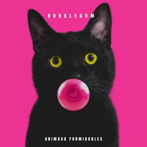 Bubblegum