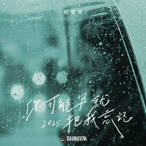 你可能早就把我忘记2025