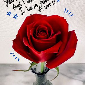 爱过我的每一天