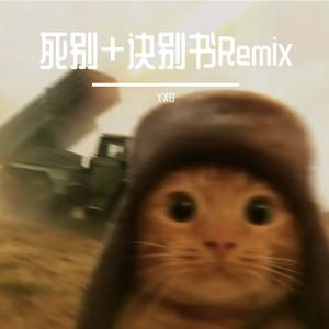 死别+诀别书 Remix（YXS remix）