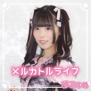 メルカトルライフ