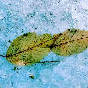 Baby What You Gonna Do