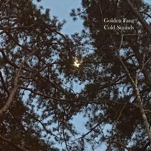 The Triumph of Light