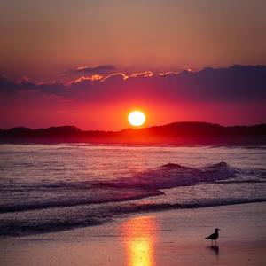 say no（prod AIIGsad/YJ）