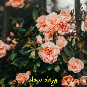 Slow Days