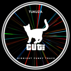Midnight Funky Track (Radio Edit)