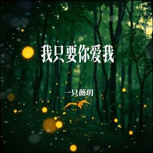 我只要你爱我