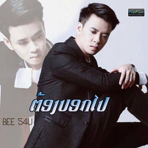 ຕ້ອງບອກໄປ (Bee 54u)