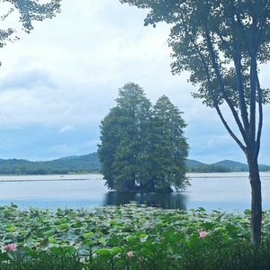 月度寒江 - 息兮 cover 东篱