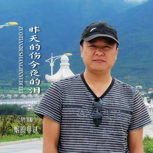 昨天的伤今夜的泪 (DJ默涵男版)