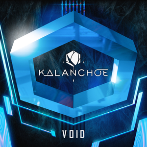 VOID