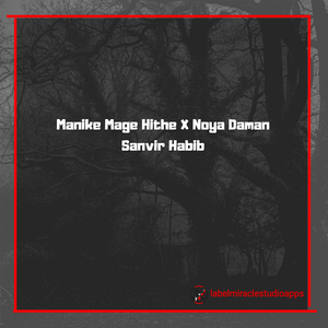 Manike Mage Hithe X Noya Daman (Lofi Flip)