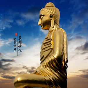 空山寂（净化曲）