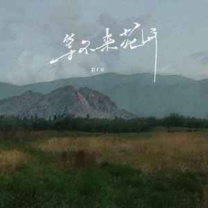 等不来花开 (降调版)