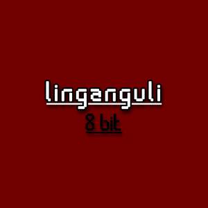 linganguli 8 bit
