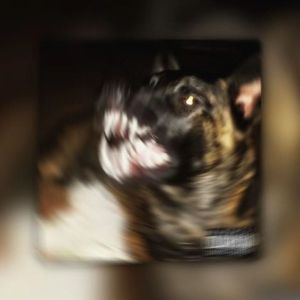 Freedom：Lil Baby(Instrumental)