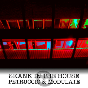 Skank In The House (Original Mix)