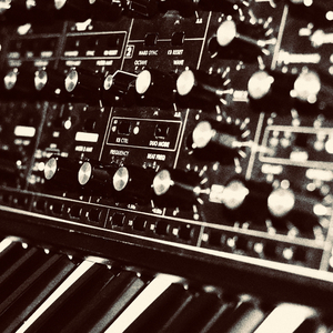 Castle in the Forest