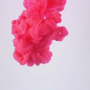 Pink + White