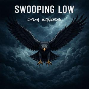 Swooping Low