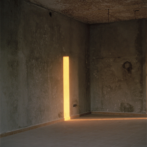 The Way Through The Forest