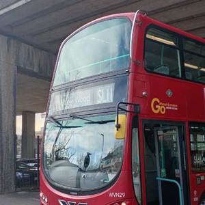 マシュー・キャッツィー、ネットワーク・ネイサン、デンゼルズ・ワールド、SL11のルマネセンス