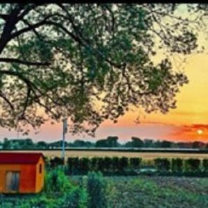 我要你（cover任素汐）