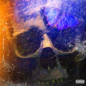 Halsey-Without Me（黑泡大佬 remix）