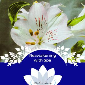 Channelize The Soul (Music For Therapy And Healing)