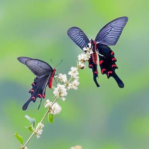 爱得投入忘了醒悟