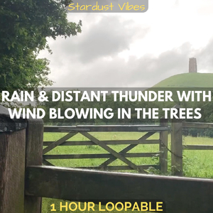 Rain & Distant Thunder with Wind Blowing in the Trees: One Hour (Loopable)
