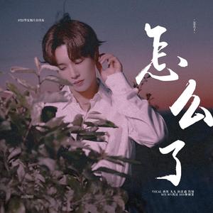 怎么了（翻自 青春有你）