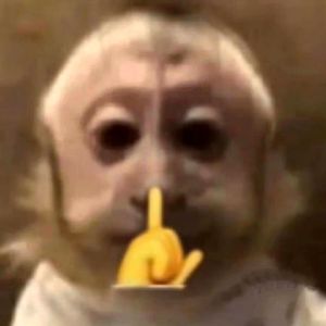 simp（Prod by 10Ri&Baize）