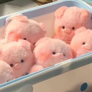 我的秘密（女声版）