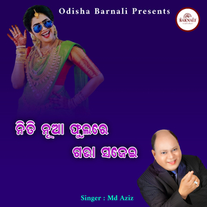 Niti Nua Phula Re Gabha Sajei