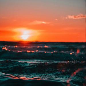 华丽优雅的姿态