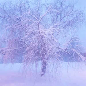 Solbacken / Gör allt till inget