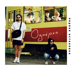 Комнатное растение