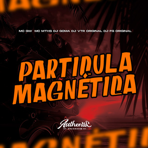 Particula Magnética