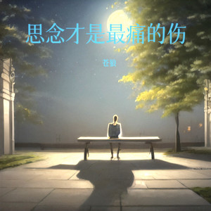 思念才是最痛的伤 (合唱版)