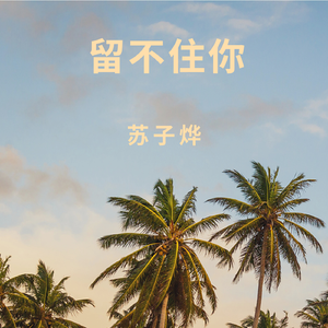 留不住你